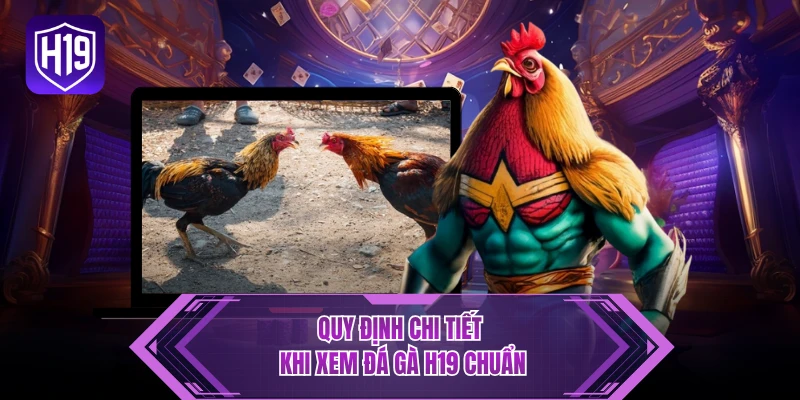Quy định chi tiết khi xem đá gà H19 chuẩn